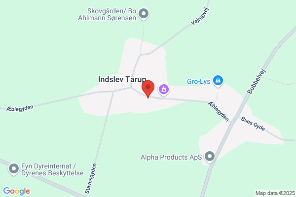 Snejbjerg Kunsthandel