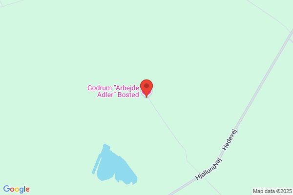 Godrum Arbejde Adlers Forsorgshjem