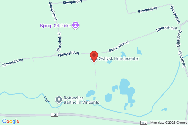Tollund Hundepension