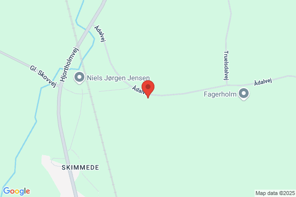 Jensen, Niels