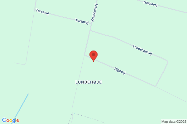 Jensens Finn Åleeksport