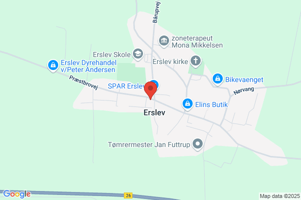 Erslev Slagter