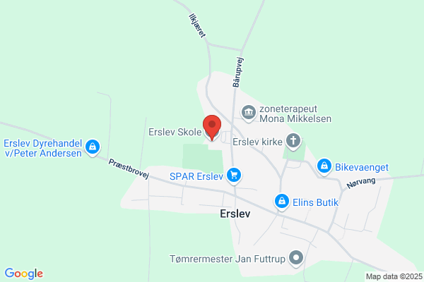 Praktikskolen