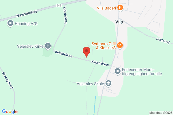 Venstre i Morsø Kommune
