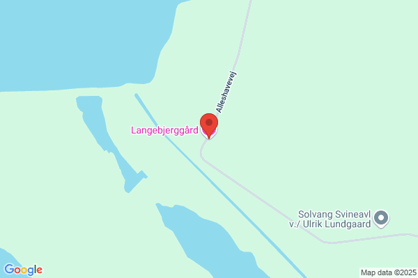 Bakkelygård Frilandsgrise
