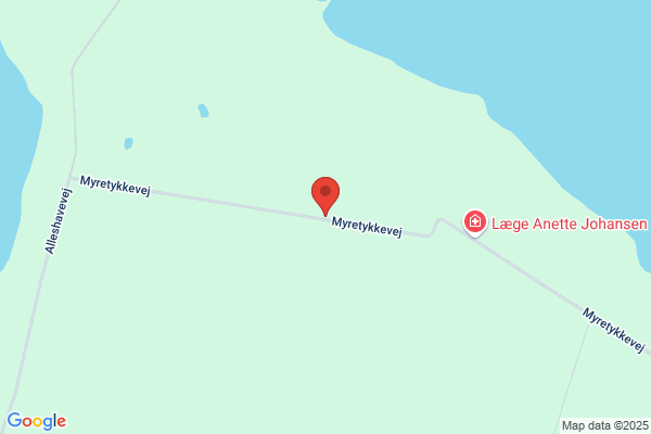 Køkken Montøren