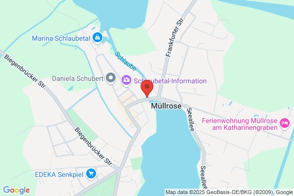 Åse, Salon