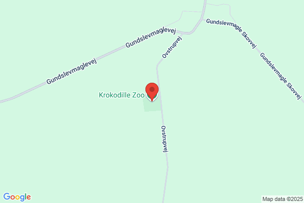 Krokodille Zoo
