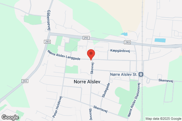 Socialdemokratiet i Nørre Alslev Kommune