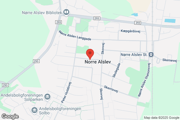 Ældre Sagen, Nørre Alslev Besøgstjeneste