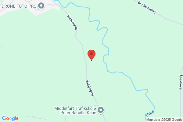 Nielsen, Kim T.