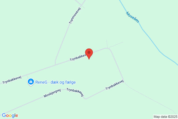 Bindslev Jan