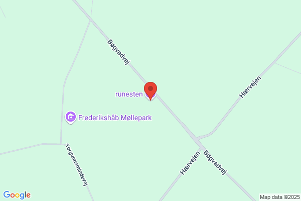 Runesten Ole