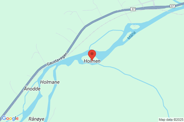 Holmen Tinne