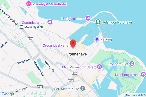 Helsingør Akvarieforening