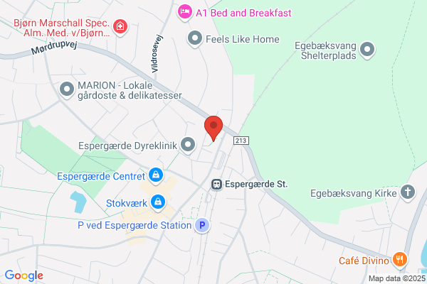 Elmhauge, Tim