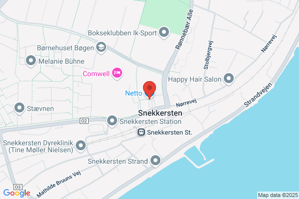 Netto