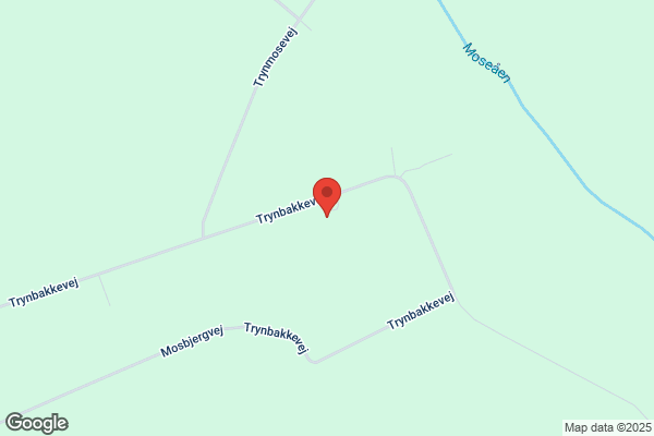Bindslev, Jan