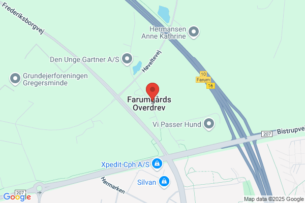 Franchise-Consult.Dk (Toke Allentoft)