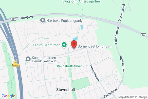 Lyngborg, Institutionen