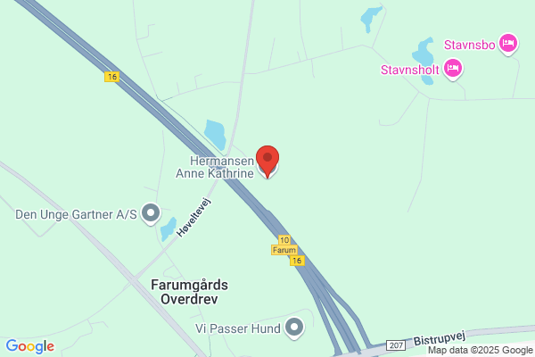 Lehwald Anne Marie