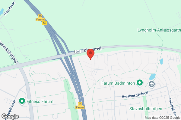 Fogh, Tyge