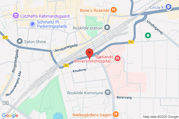 Dansk Revision Roskilde A/S