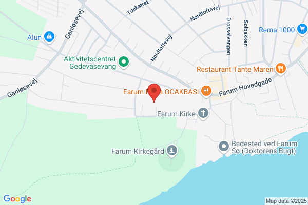 Chapter4 Translation ApS