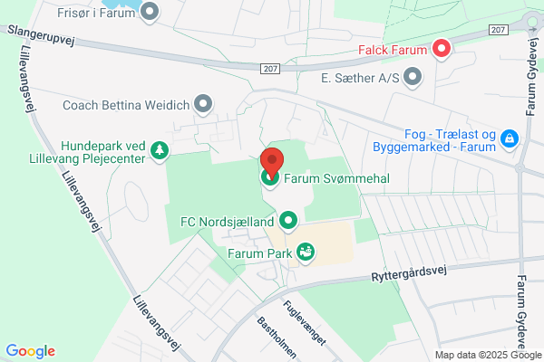 Birkerød Netværksforening BNF (Niels S. Larsen)