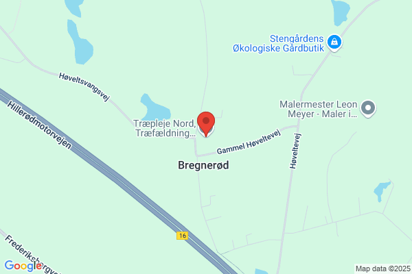 Nordsjællandsk Træfældning