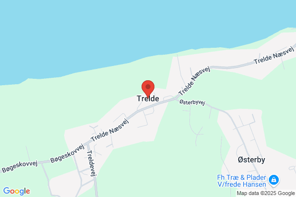 Trelde Auto
