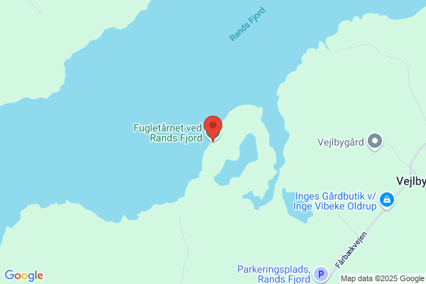 Trekantens Fugleforening