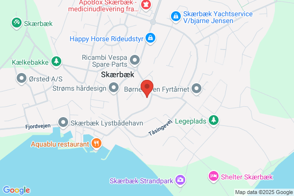 Fredericia Musikforenings Orkester