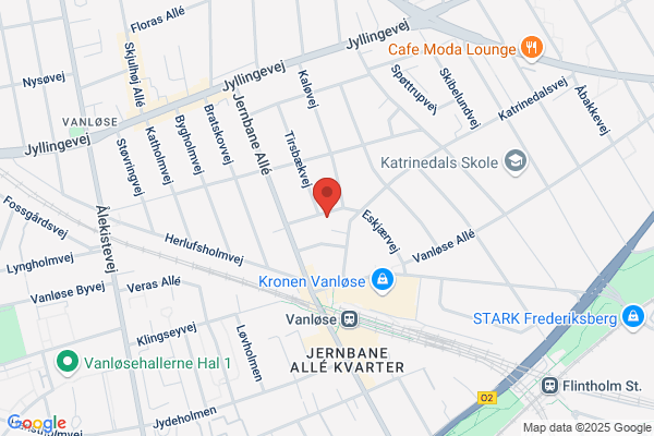 MaleriKonservering