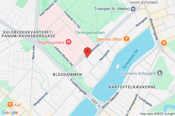 Blegdammens Stjerne