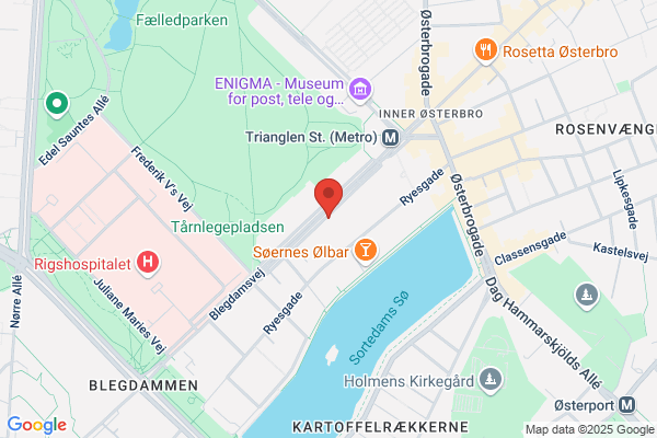 Republic Blegdammens Stjerne