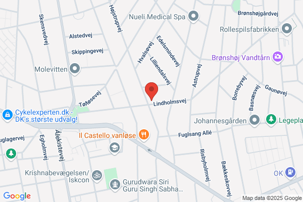 Lille Skole i København Den