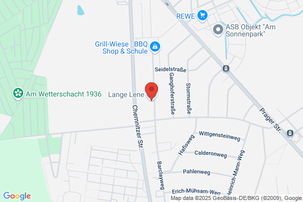 Lene, Salon