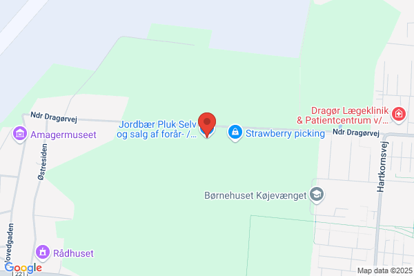 Dragør Frugt