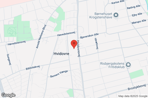Hvidovre Kommune Teknisk direktør