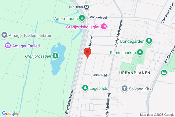 Schelke Randi
