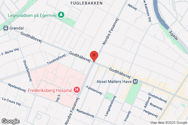 Db Nedrigning og Rengøring (Dan Geldam Brodthage)