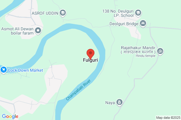 Funguri