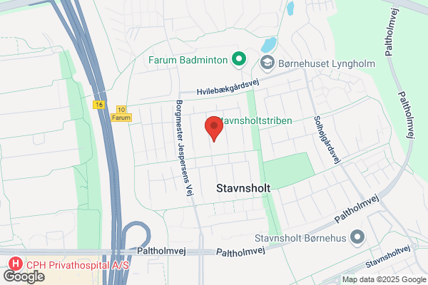 Hirsch, Nancy