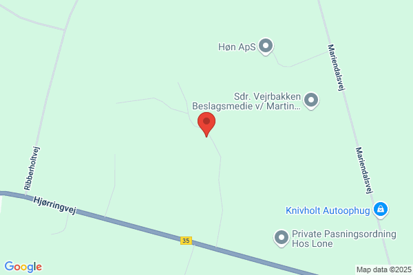 Genbrugspladsen