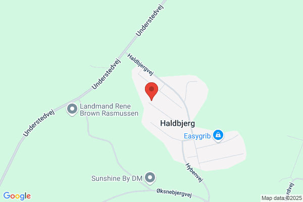 Landsforeningen LEV