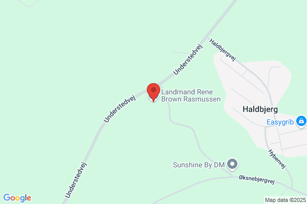 Rasmussen, Jutta