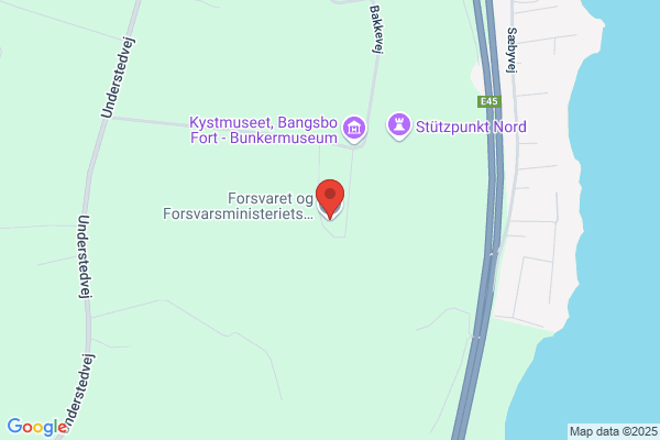 Forsvarsbrødre, De Danske