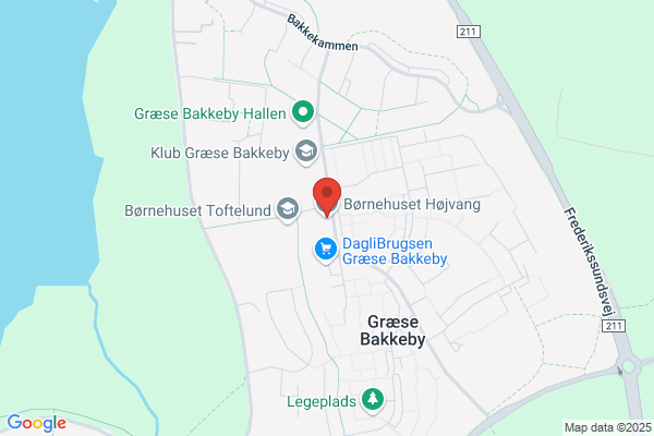 Kong Dansvej Daginstitutionen