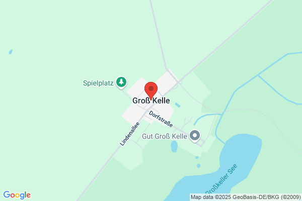 Krølle, Salon